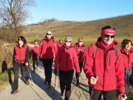 CAMMINATA IN TECNICA NORDIC WALKING