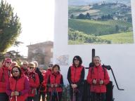 CAMMINATA IN TECNICA NORDIC WALKING