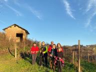 CAMMINATE IN TECNICA NORDIC WALKING