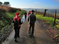 CAMMINATA IN TECNICA NORDIC WALKING