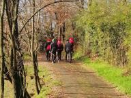 CAMMINATA IN TECNICA NORDIC WALKING