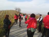 CAMMINATE IN TECNICA NORDIC WALKING