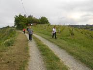 CAMMINATA PANORAMICA A CALAMANDRANA