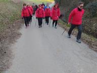 CAMMINATA IN TECNICA NORDIC WALKING