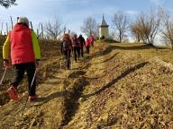 CAMMINATA IN TECNICA NORDIC WALKING