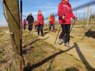 CAMMINATA IN TECNICA NORDIC WALKING