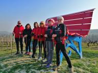 CAMMINATE IN TECNICA NORDIC WALKING