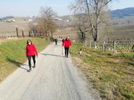 CAMMINATE IN TECNICA NORDIC WALKING