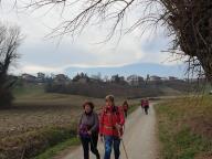 CAMMINATA IN TECNICA NORDIC WALKING