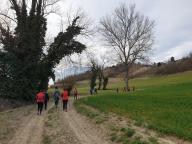 CAMMINATA IN TECNICA NORDIC WALKING