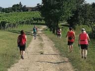 CAMMINATE IN TECNICA NORDIC WALKING