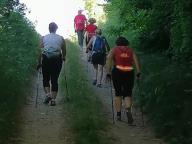 CAMMINATA IN TECNICA NORDIC WALKING