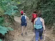 CAMMINATE IN TECNICA NORDIC WALKING