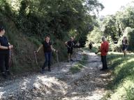 CAMMINATA IN TECNICA NORDIC WALKING