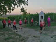 CAMMINATE IN TECNICA NORDIC WALKING