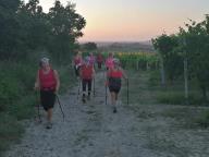 CAMMINATE IN TECNICA NORDIC WALKING