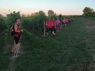 CAMMINATE IN TECNICA NORDIC WALKING