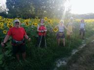 CAMMINATE IN TECNICA NORDIC WALKING