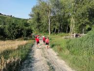 CAMMINATE IN TECNICA NORDIC WALKING