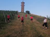 CAMMINATE IN TECNICA NORDIC WALKING