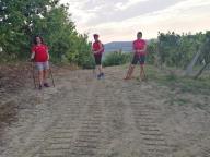 CAMMINATE IN TECNICA NORDIC WALKING