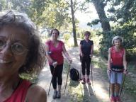 CAMMINATA IN TECNICA NORDIC WALKING