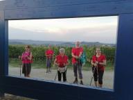 CAMMINATE IN TECNICA NORDIC WALKING