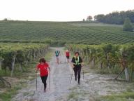 CAMMINATE IN TECNICA NORDIC WALKING