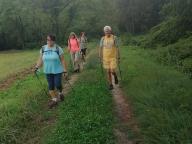 CAMMINATE IN TECNICA NORDIC WALKING