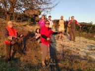 CAMMINATE IN TECNICA NORDIC WALKING