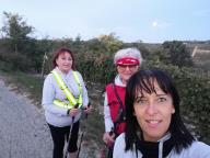 CAMMINATE IN TECNICA NORDIC WALKING