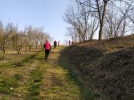 ALLENAMENTO DI NORDIC WALKING