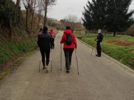 ALLENAMENTO DI NORDIC WALKING