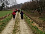 ALLENAMENTO DI NORDIC WALKING