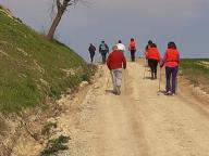 ALLENAMENTO DI NORDIC WALKING