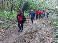 ALLENAMENTO DI NORDIC WALKING