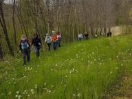 ALLENAMENTO DI NORDIC WALKING