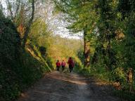 ALLENAMENTO DI NORDIC WALKING