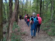 ALLENAMENTO DI NORDIC WALKING