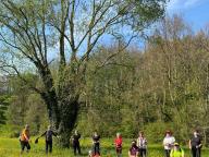 ALLENAMENTO DI NORDIC WALKING