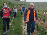 ALLENAMENTO DI NORDIC WALKING