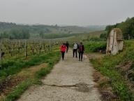 ALLENAMENTO DI NORDIC WALKING