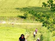 ALLENAMENTO DI NORDIC WALKING