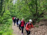 ALLENAMENTO DI NORDIC WALKING