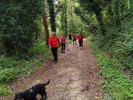 ALLENAMENTO DI NORDIC WALKING