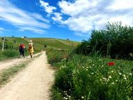 ALLENAMENTO DI NORDIC WALKING