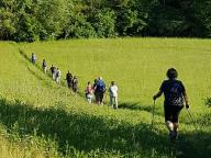 ALLENAMENTO DI NORDIC WALKING