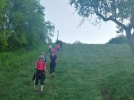 ALLENAMENTO DI NORDIC WALKING