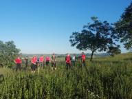 ALLENAMENTO DI NORDIC WALKING