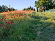 ALLENAMENTO DI NORDIC WALKING